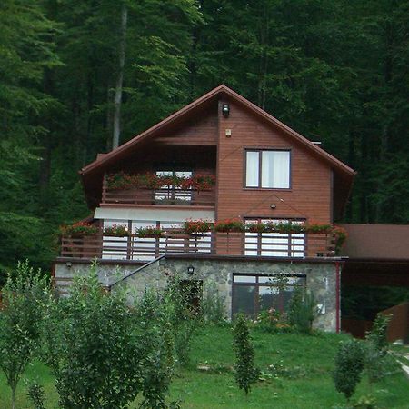 Villa Mara Sinaia Luaran gambar
