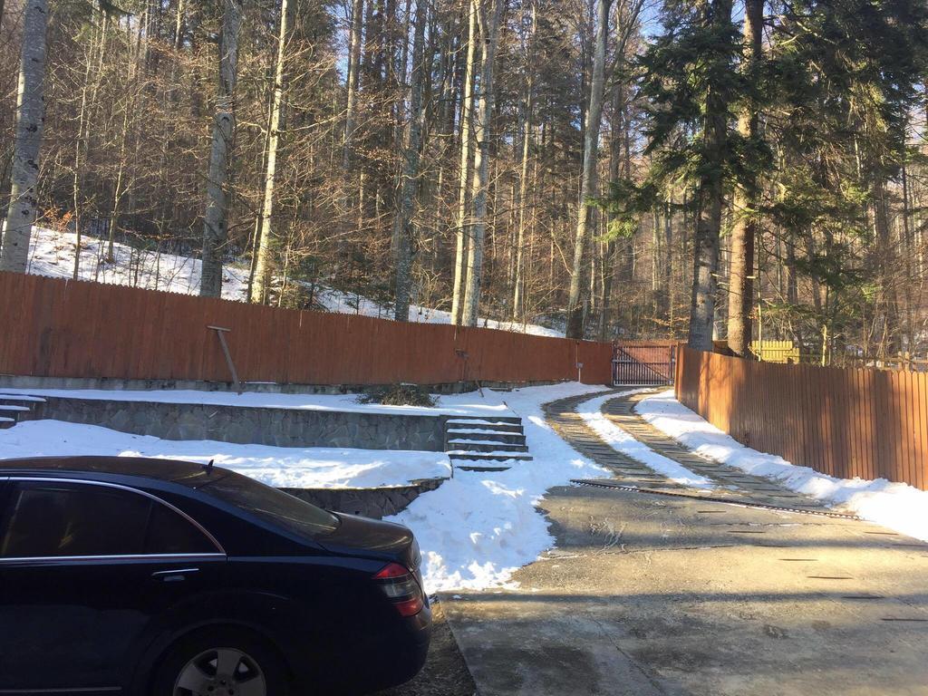 Villa Mara Sinaia Luaran gambar