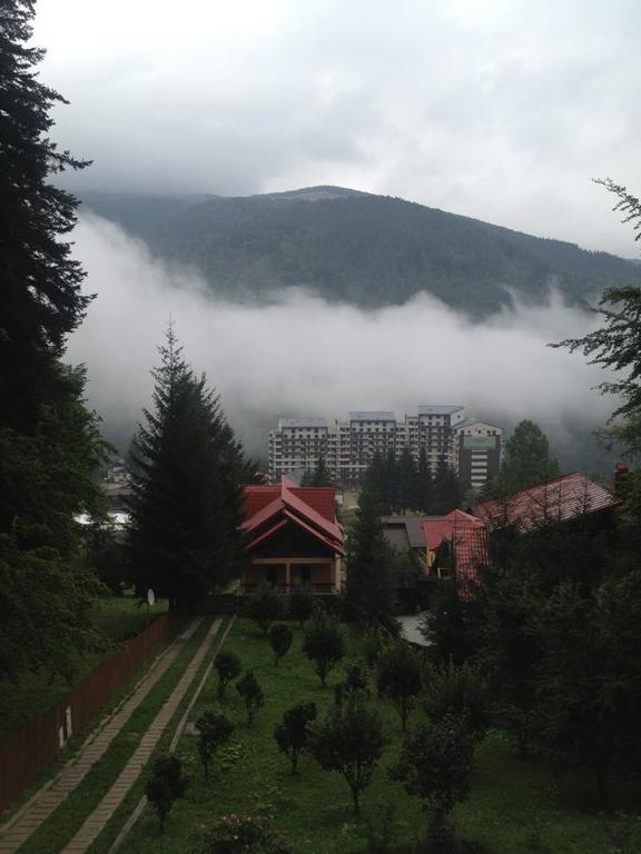 Villa Mara Sinaia Luaran gambar