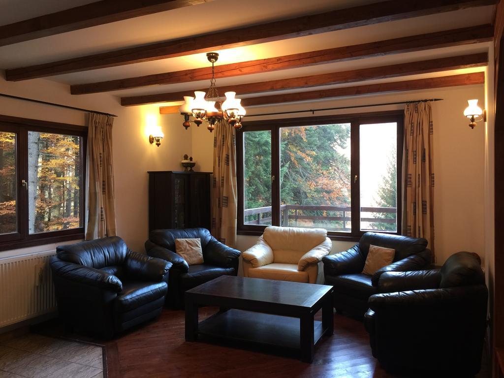 Villa Mara Sinaia Luaran gambar