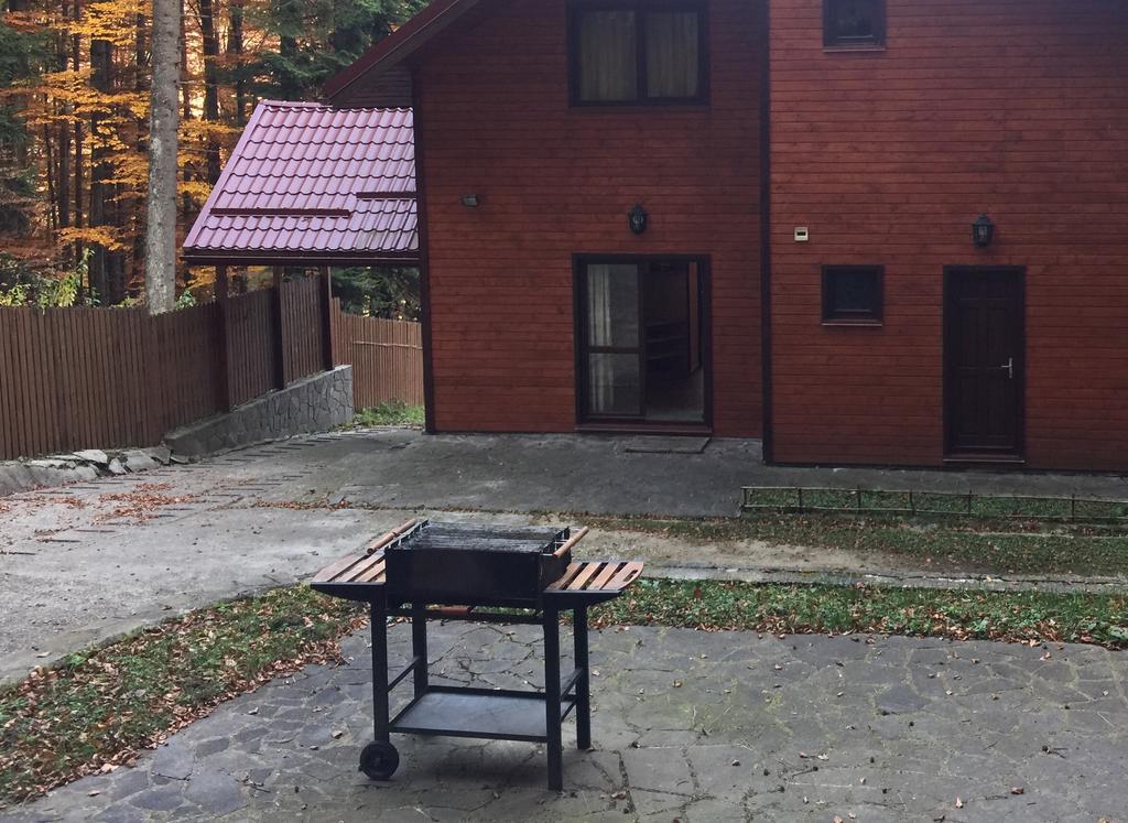 Villa Mara Sinaia Luaran gambar